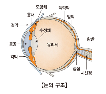 야맹증